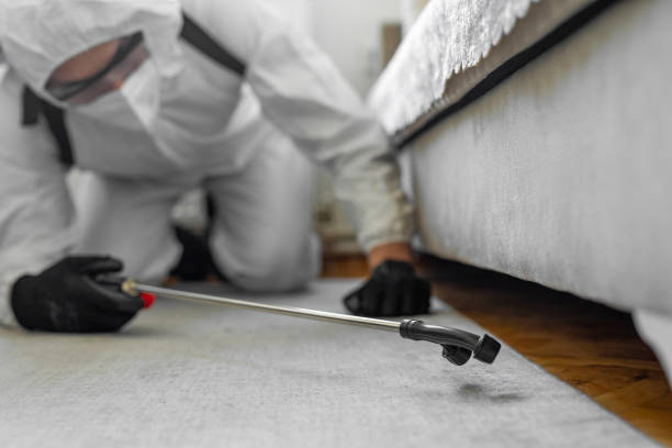 Professional Ant Control technician working in Woodbury Center, CT