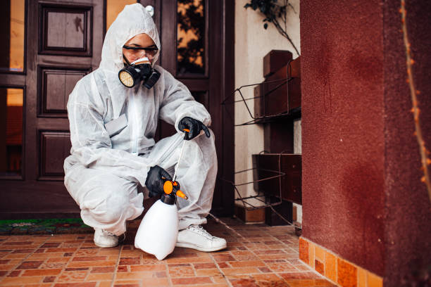Reliable Mosquito Control contractor in Woodbury Center, CT by Show Me Pest Control